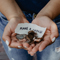 Charities & Causes